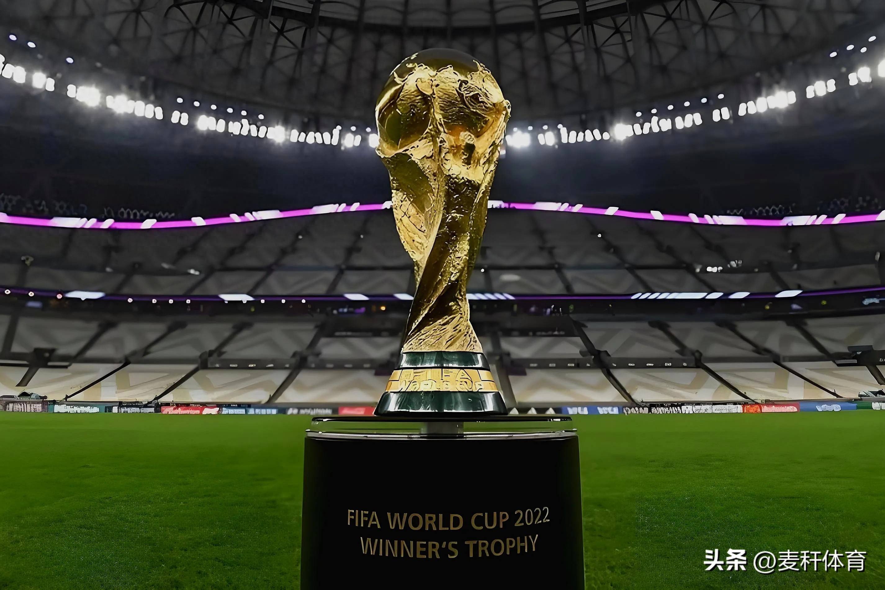 的内容资产 的内容资产